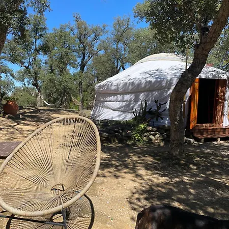 Au Soleil Mongol Sorède