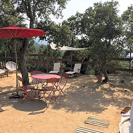 Oda ve Kahvaltı Au Soleil Mongol 3*