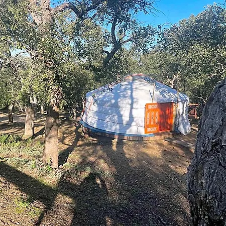 Au Soleil Mongol