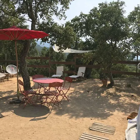 Au Soleil Mongol Sorede