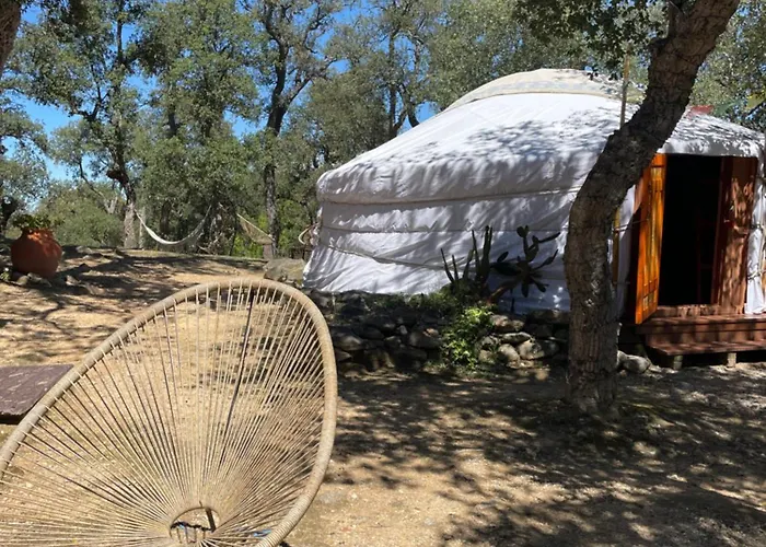 Au Soleil Mongol Sorède