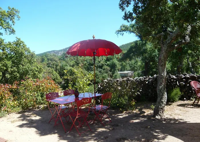 Au Soleil Mongol Bed & Breakfast